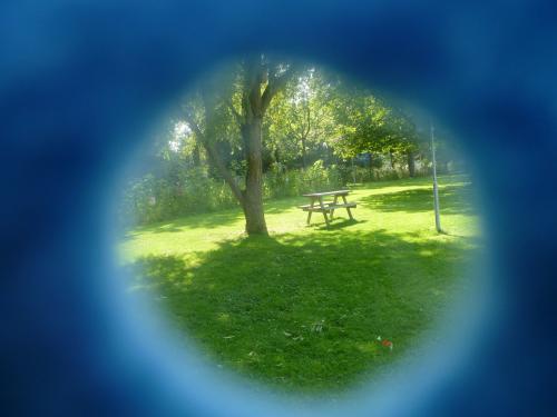 Fotoworkshops voor kinderen