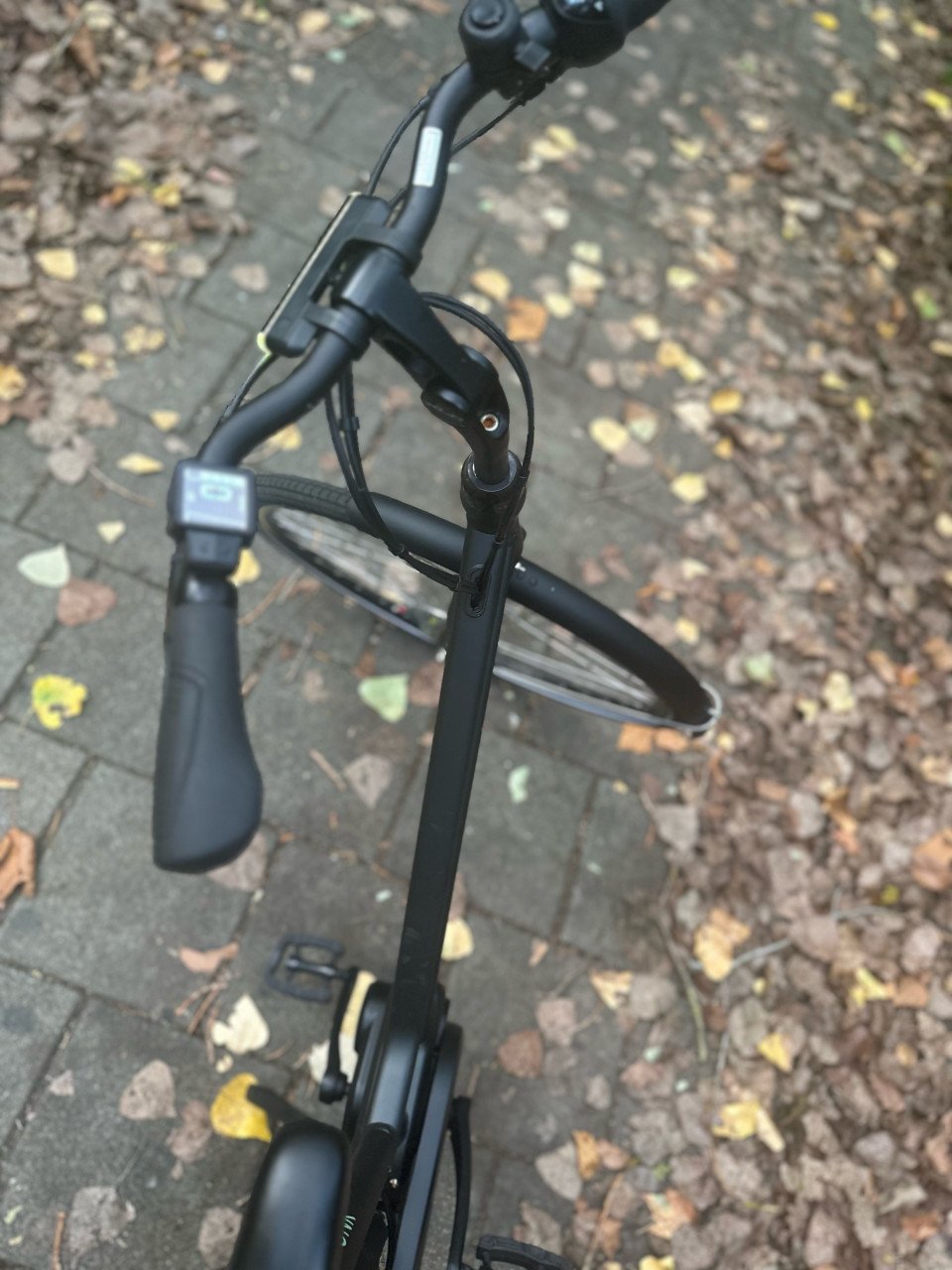 Batavus Fonk E-bike