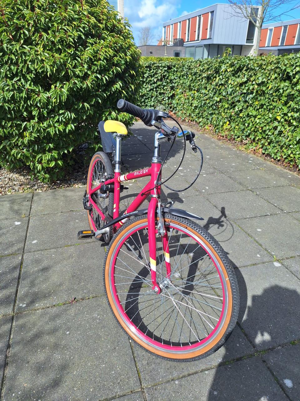 Mountainbike meisje Raleigh