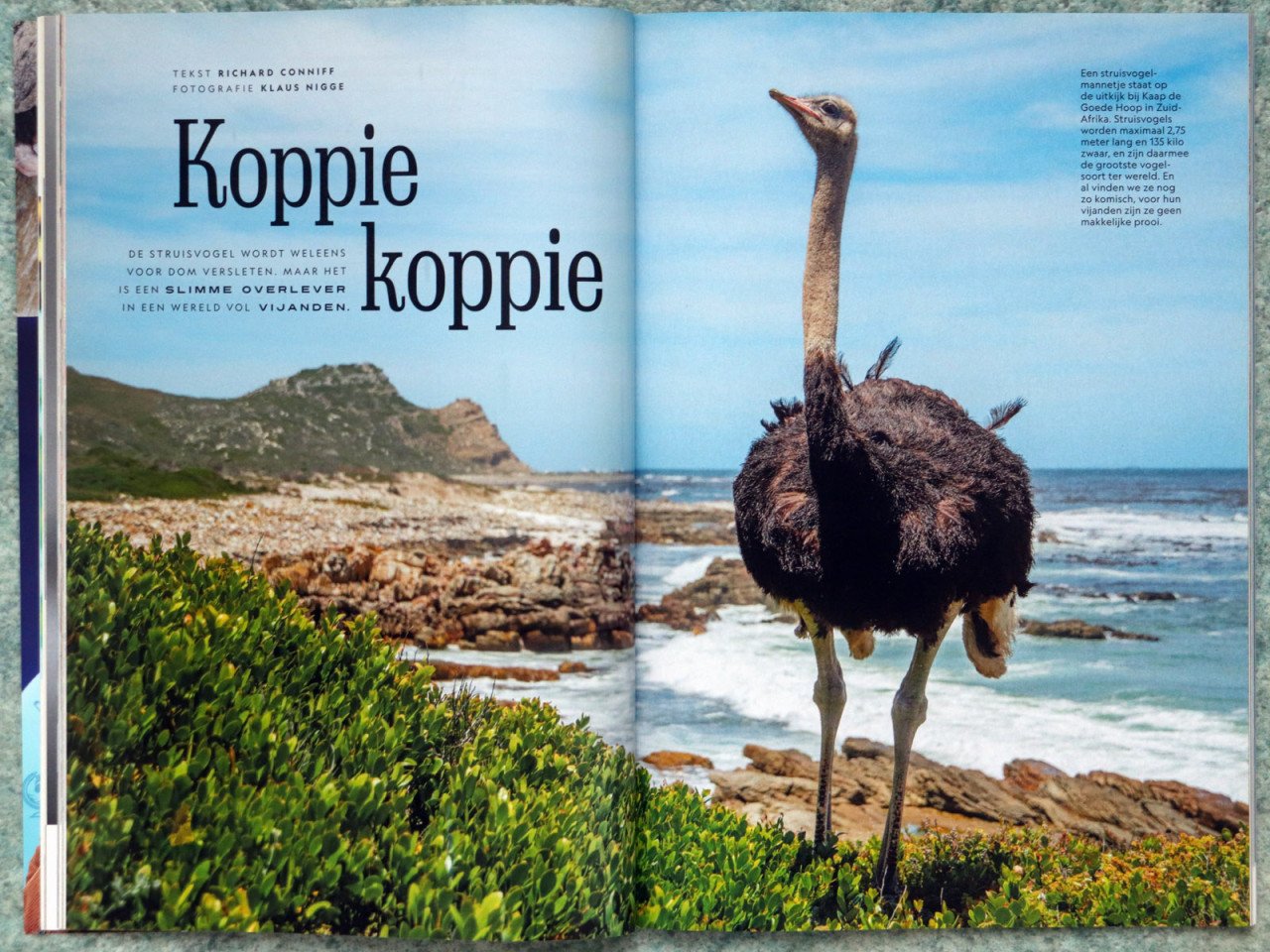 Jaargangen National Geographic 2012-2021