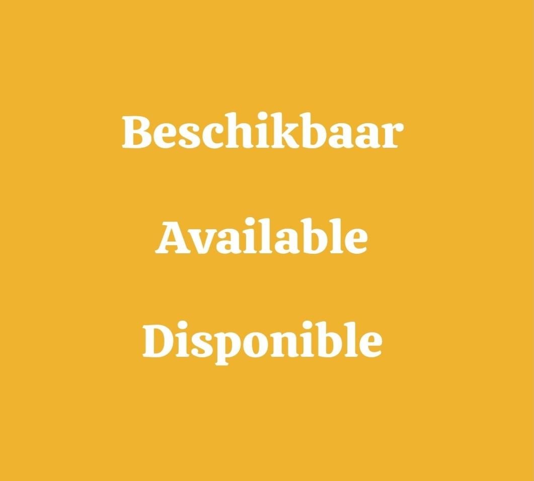 Jonge Trachycarpus Fortunei voor (h)eerlijke prijs.