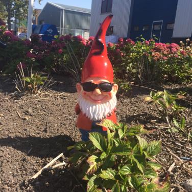 Originele tuinkabouter met zonnebril - 41cm - Tuindecoratie