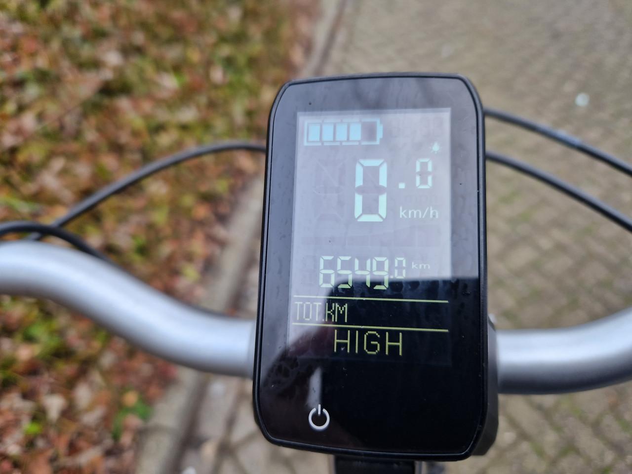 Keurig nette Gazelle Grenoble elektrische fiets