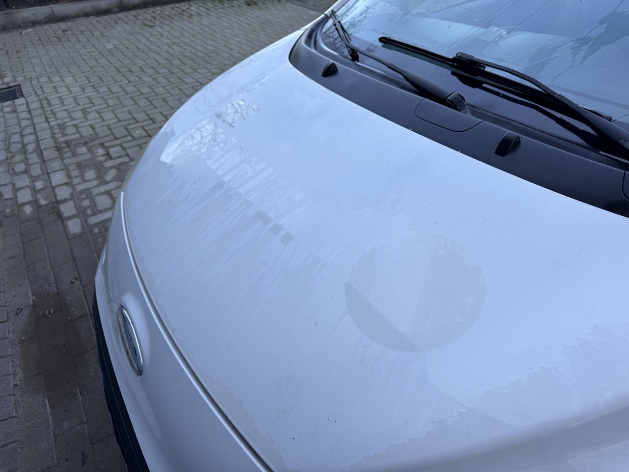 Ford Ka 1.2 51KW Trend 2009 Wit  Apk Nap