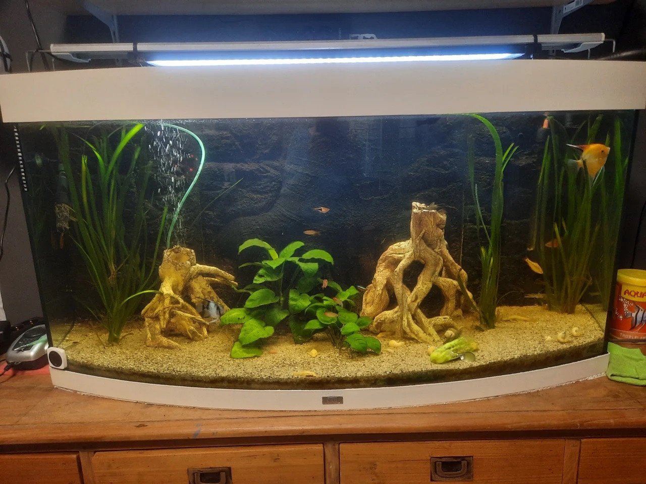 2x aquarium met  veel accessoires
