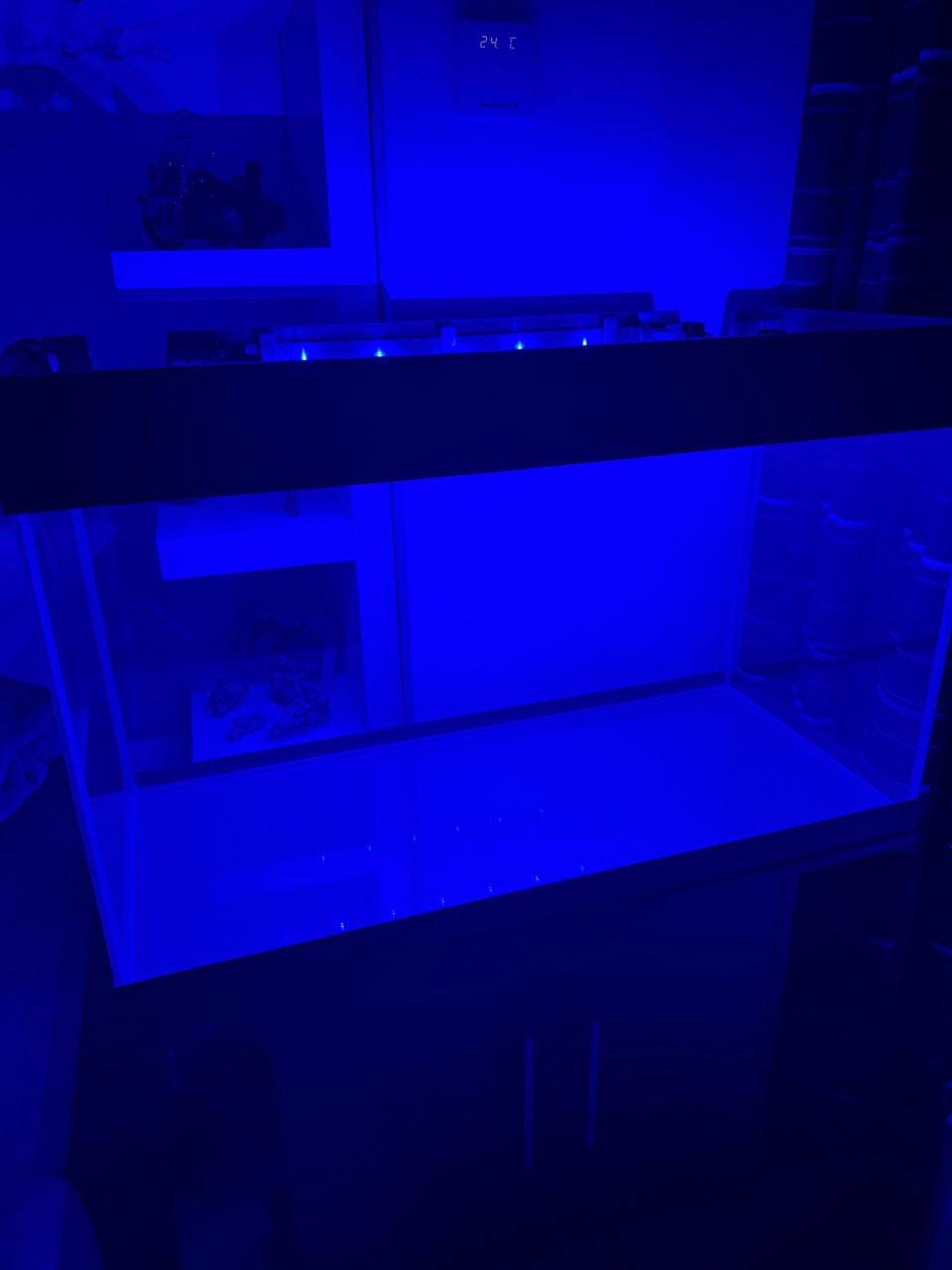 Aquarium