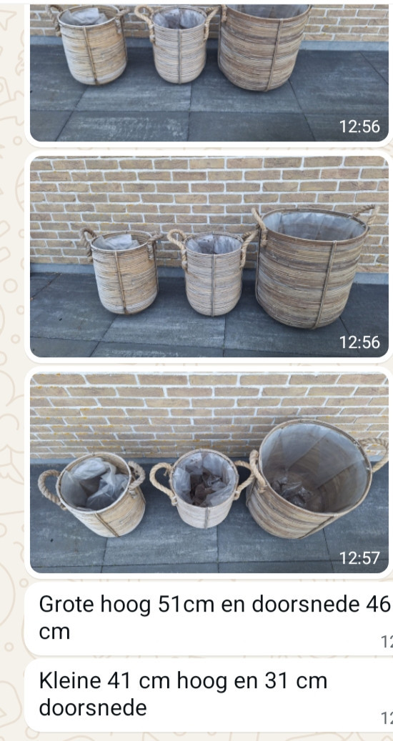 Bloempotten buiten