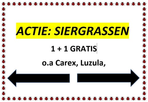 Actie: siergrassen 1 + 1 GRATIS in ons plantenkraampje !