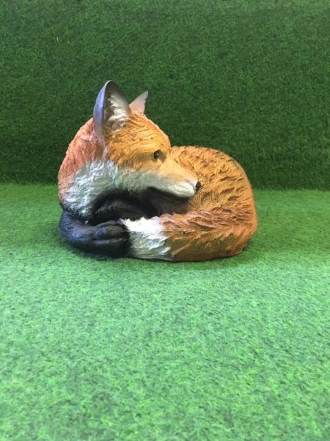 Varken zittend met rode laarzen