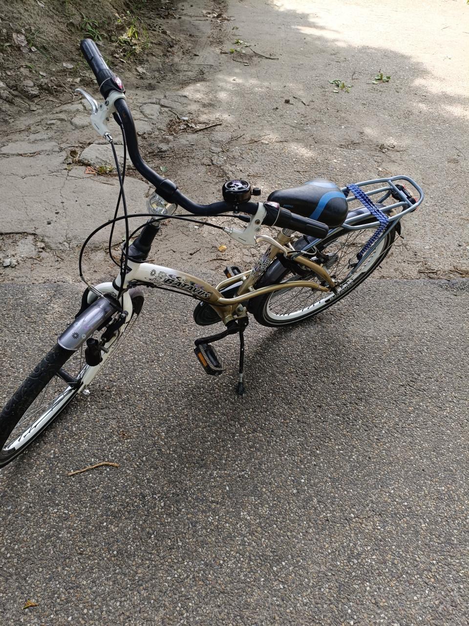 Meisjes fiets