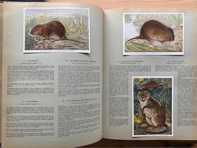 Oude Boeken:Naslagwerken-Verzamelalbum(s)-Geschiedenis-Techniek&Natuurkunde