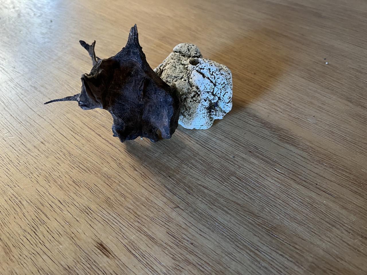 Verschillende waterornameten prijzen vanaf € 1,00