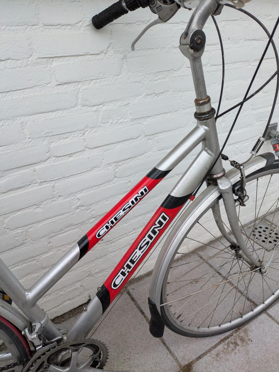 Chesini dames sportfiets bieden