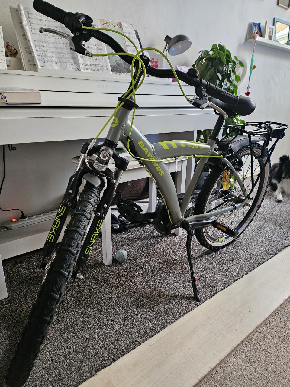 Batavus Snake jongensfiets 24 inch