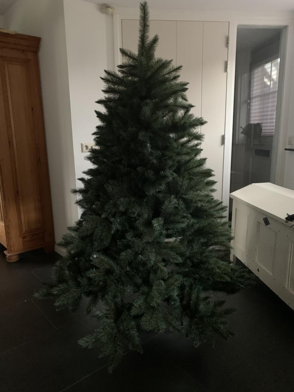 Kerstboom 1.85 m hoog Intratuin 1 jaar oud!