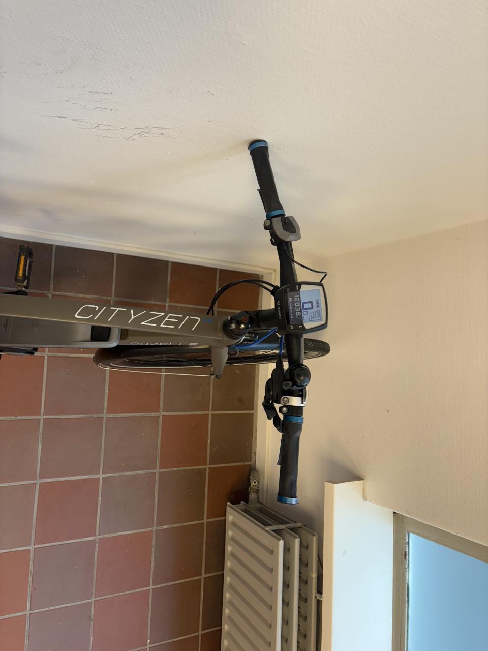 Gazelle cityzen elektrische herenfiets.