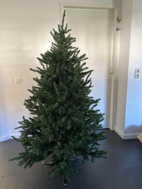 Kerstboom Triumph tree