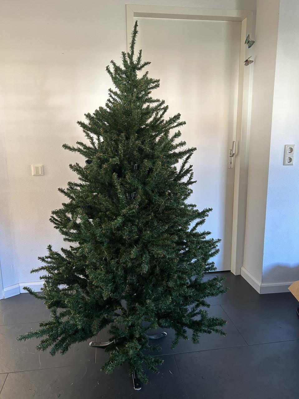 Kerstboom Triumph tree
