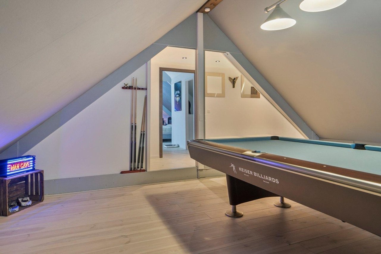 Professionele pooltafel met verlichting en alle benodigdheden