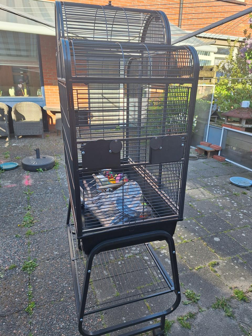 Grote Parkieten Kooi