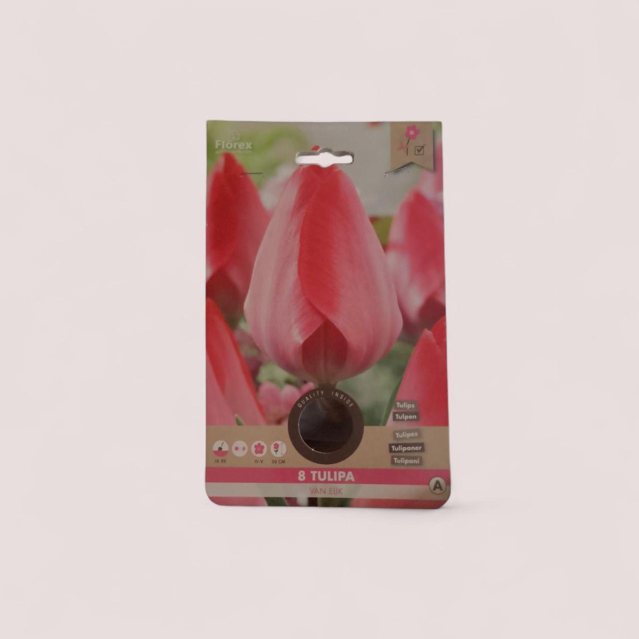 Bloembollen te koop nieuw in verpakking