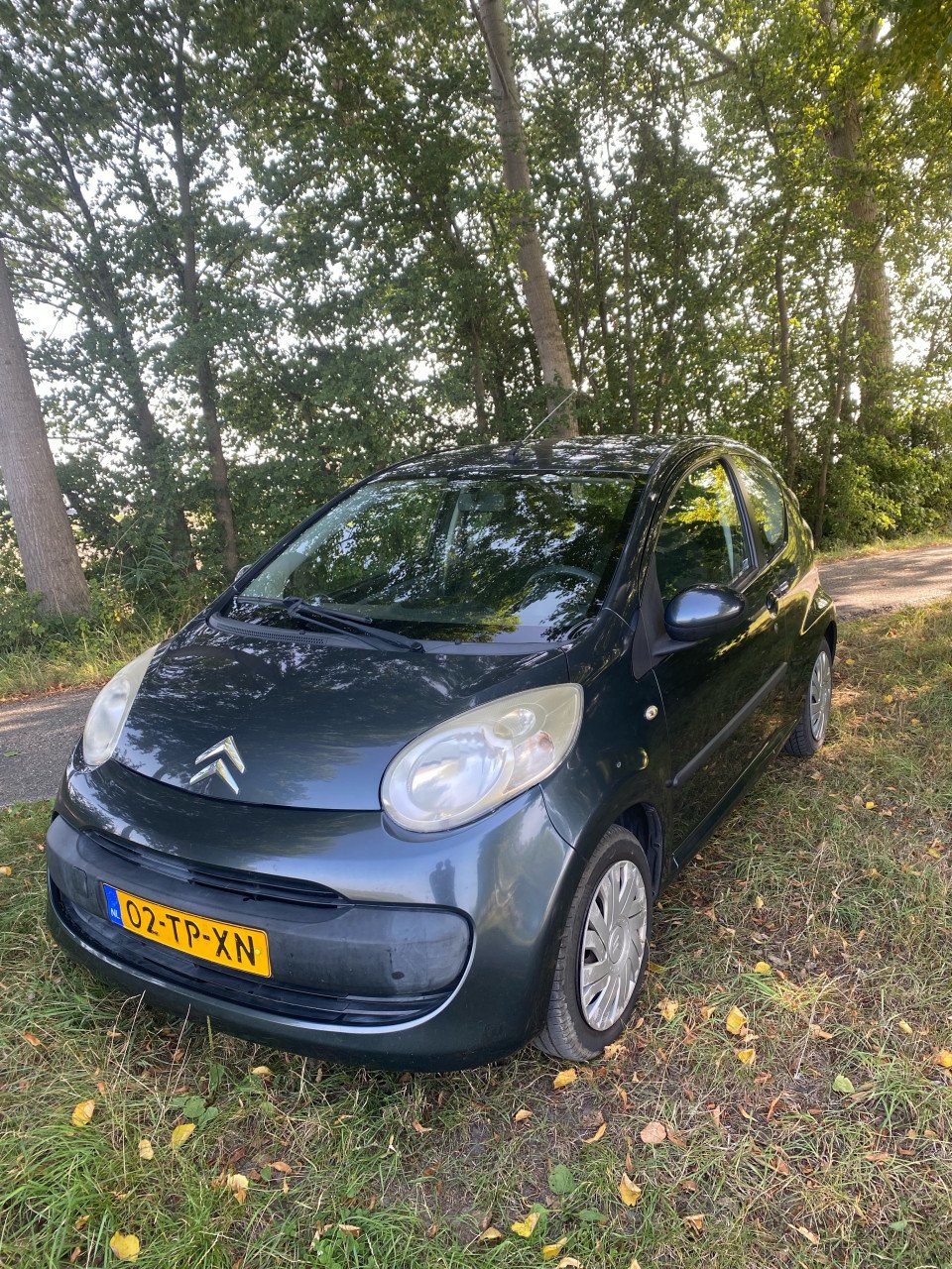 Auto