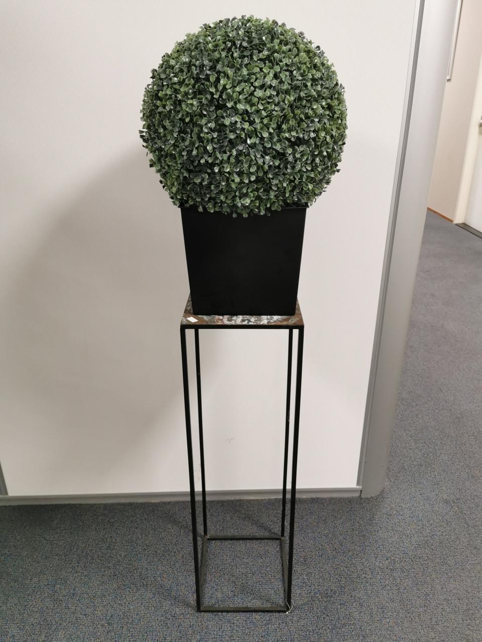 Nieuwe bolplant - kunst