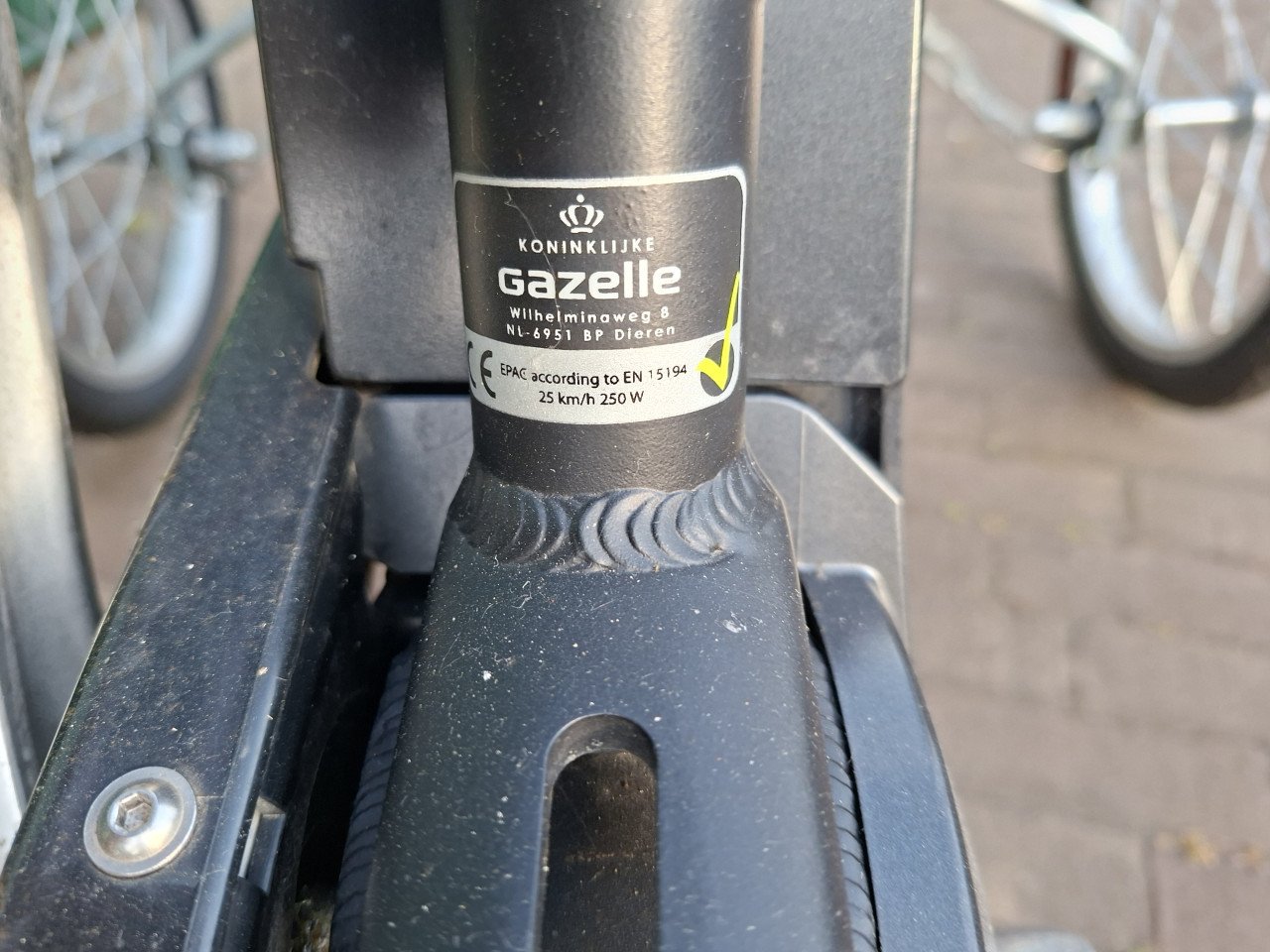 Elektrische damesfiets met swingingwheels