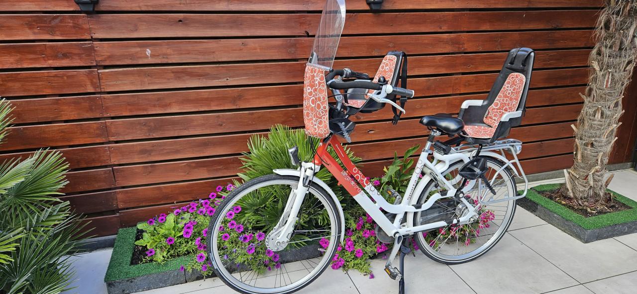 Sparta Amazone Dynamic Moederfiets