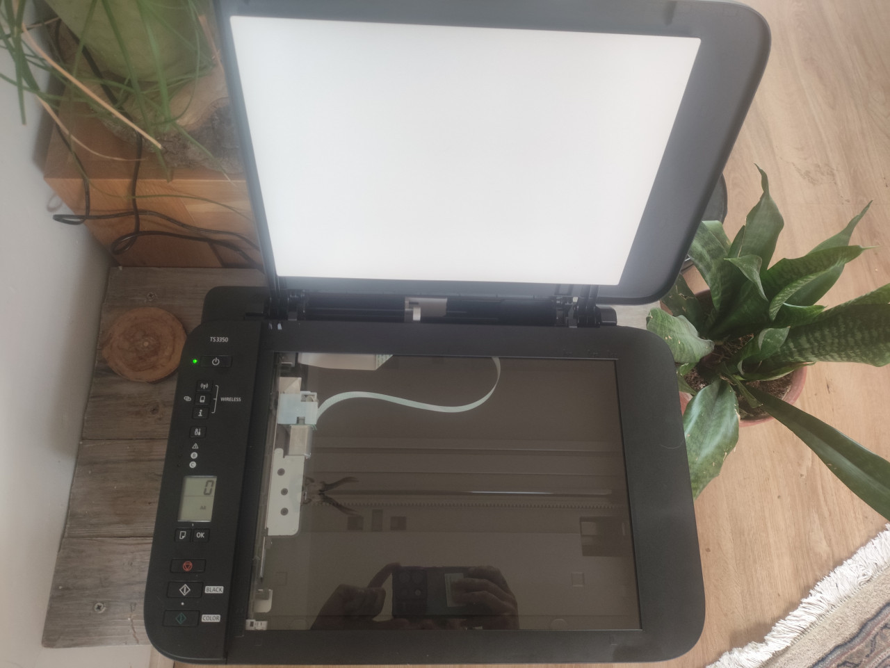 Canon printer