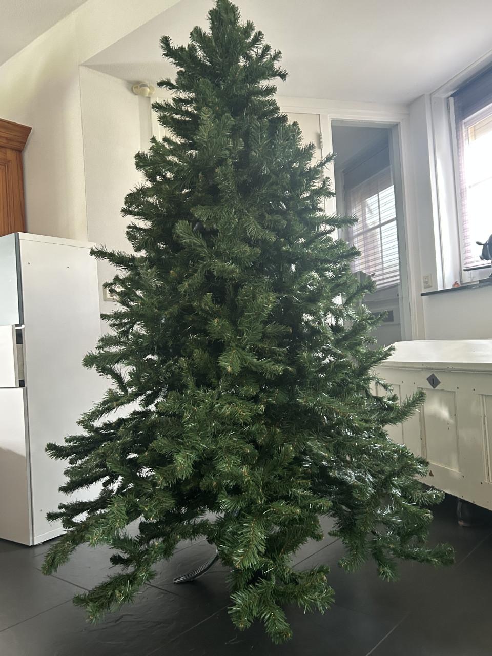 Kerstboom Gross Clockner 2.15 hoog 1,50 breed Triumph tree Intratuin