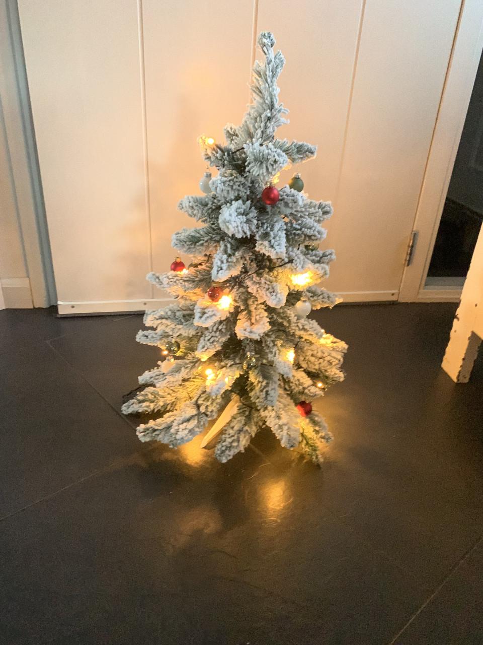 Kerstboompje lux met sneeuw 60 cm en timer