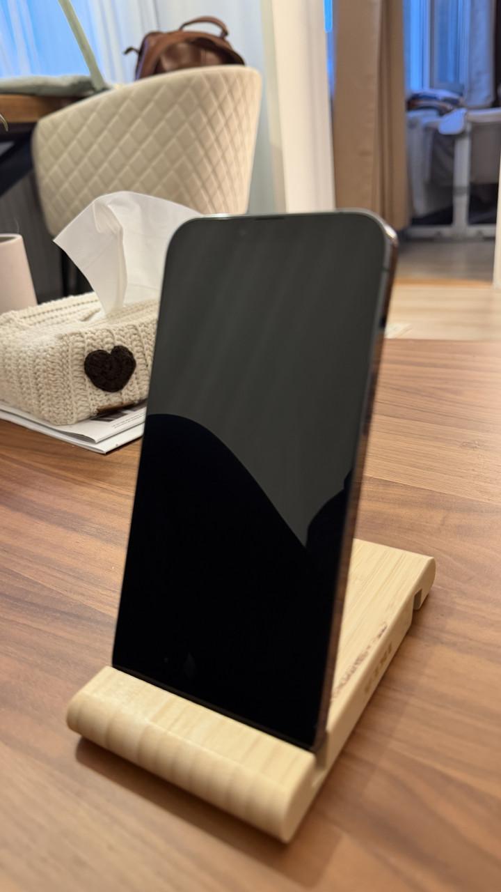 Iphone 13 pro max 256gb blue