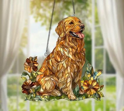 Raamhanger Golden retriever