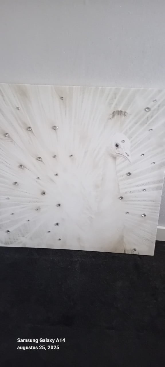 2 canvas met strass