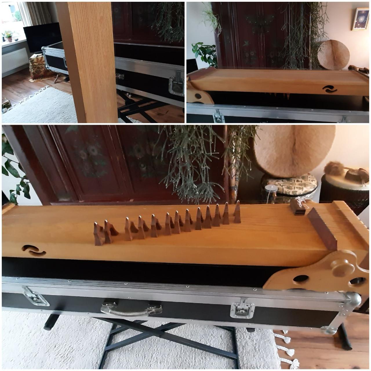 Monochord/ Koto/ Tampura ( snaarinstrument)
