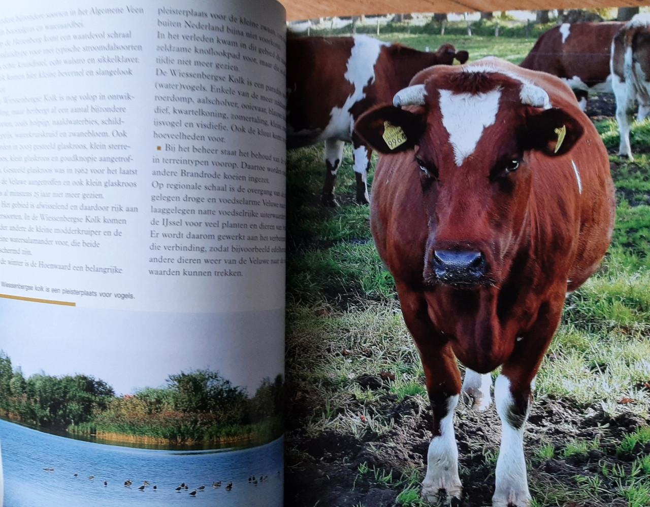 Mooi Gelderland, handboek, Geldersch Landschap / Geldersche Kasteelen
