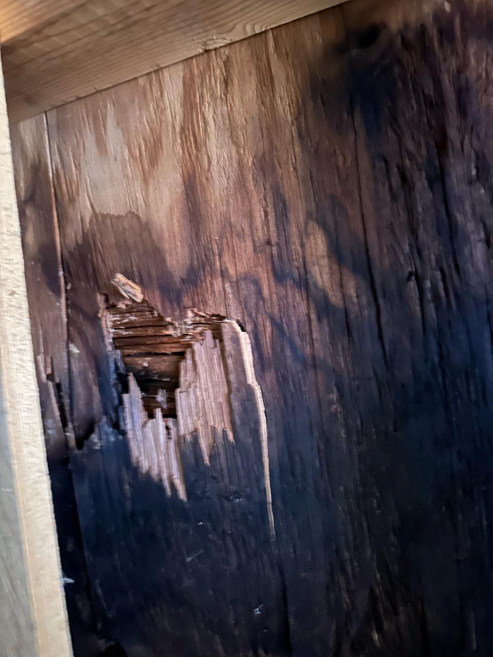 Help ons huis een thuis te worden