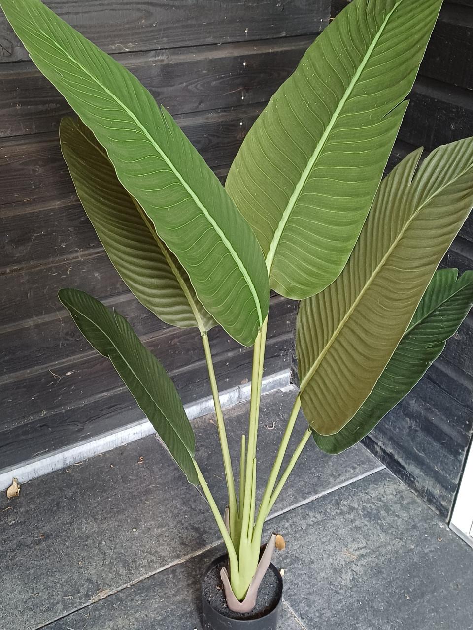 Kunst plant