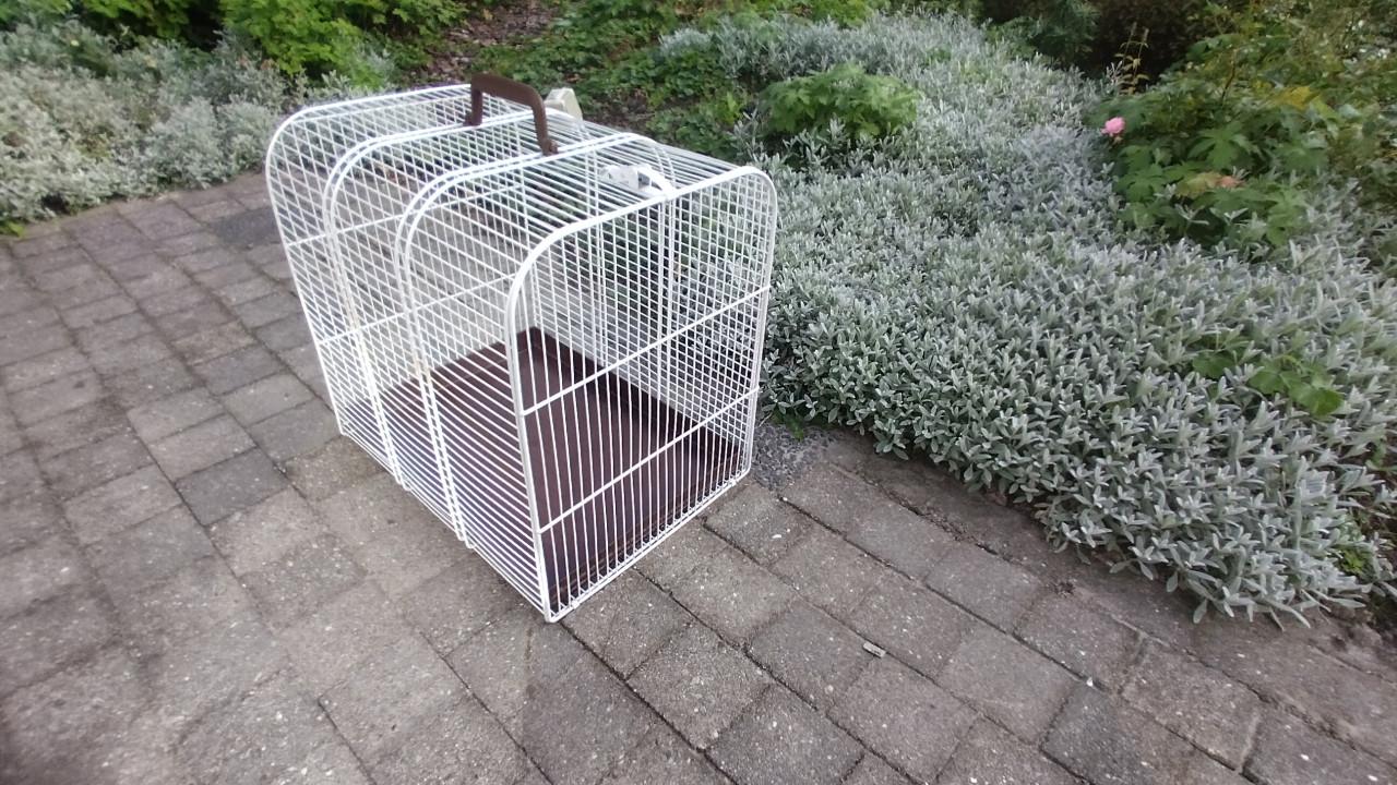 Transport kooi voor kat