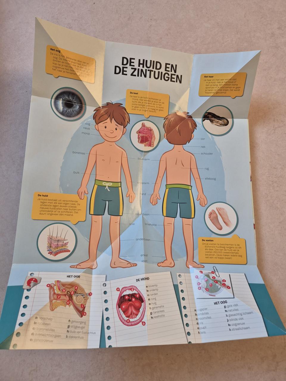 Uitvouwatlas van het menselijk lichaam