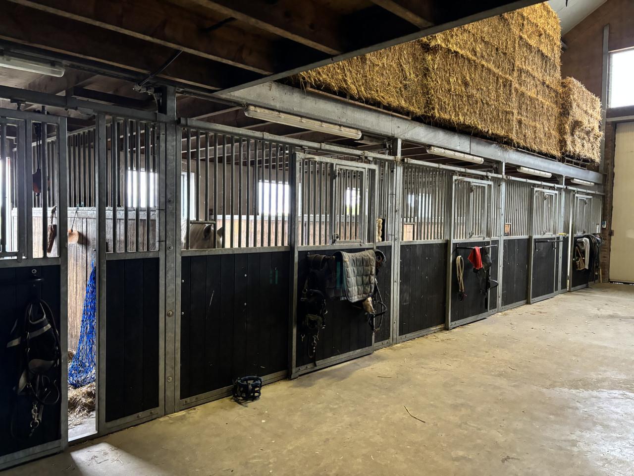 1 box vrij op pensionstalling