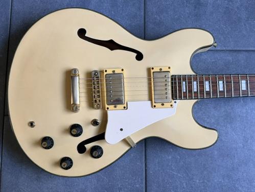 Prachtige Aria Pro II gitaar.