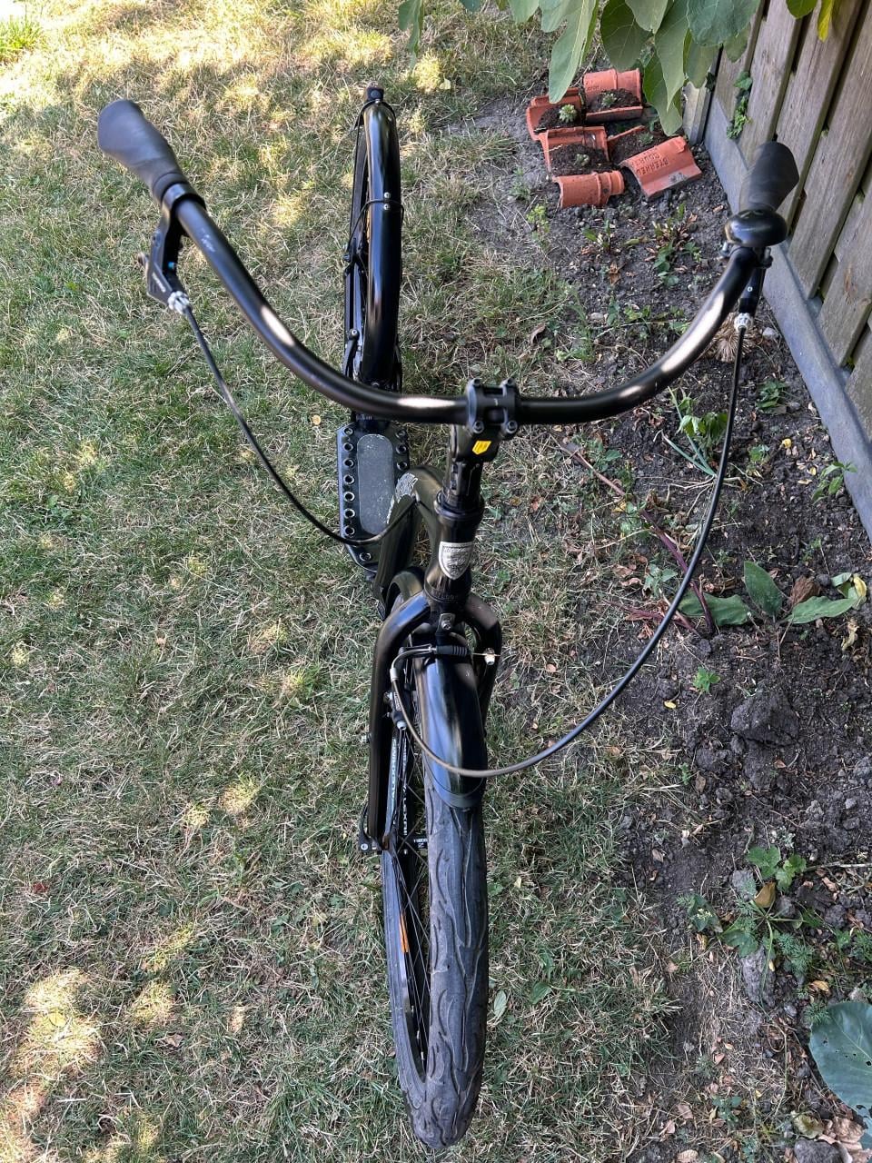 Kickbike cruise max step