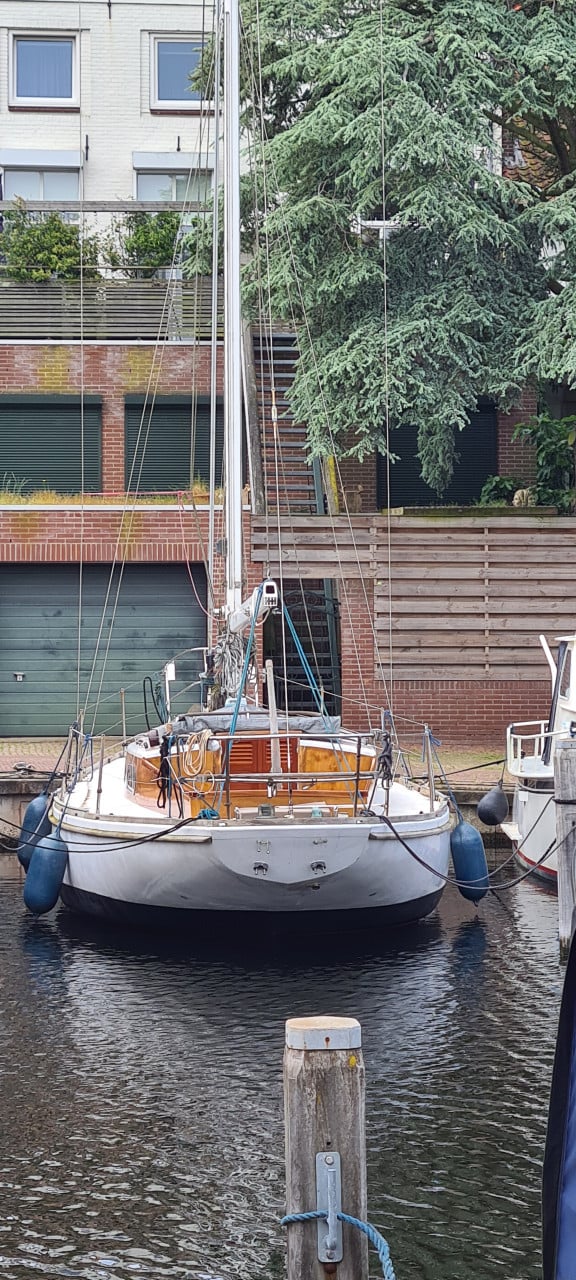 Frans Maas Breeon 37