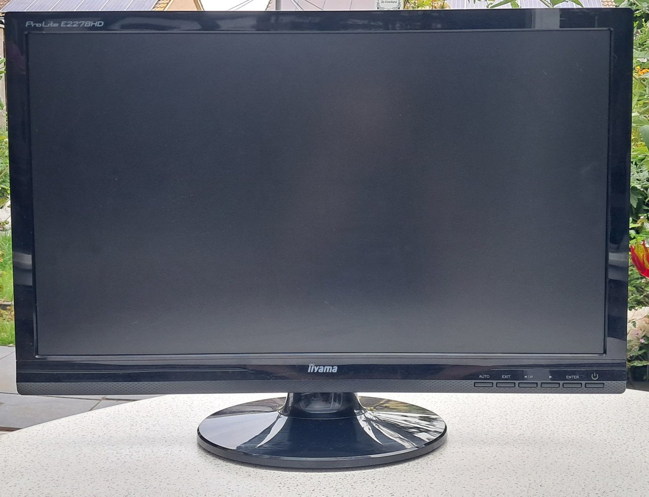Monitor  iiyama