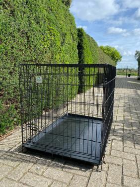 Grote hondenbench