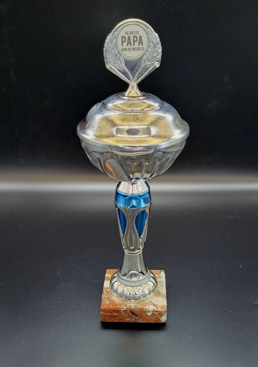 Mooi origineel vaderdag cadeau: De beste PAPA van de wereld Trofee