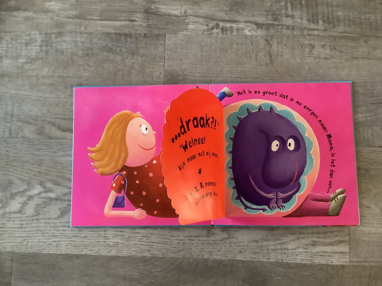 Boek: Wat zit er in je buik mama?
