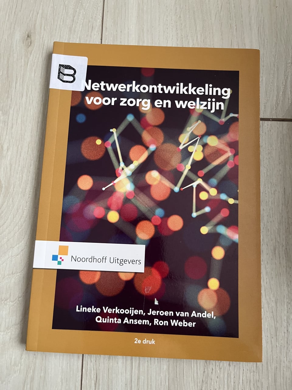 Netwerkontwikkeling voor zorg en welzijn – 2e druk